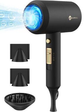 Professional Ionic Hair Dryer ($49.99 Retail)